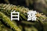 白露心得体会