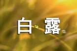 二十四节气白露的早安祝福语