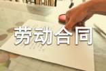 劳动合同协议书范文