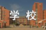 学校财务审计报告(精选10篇)